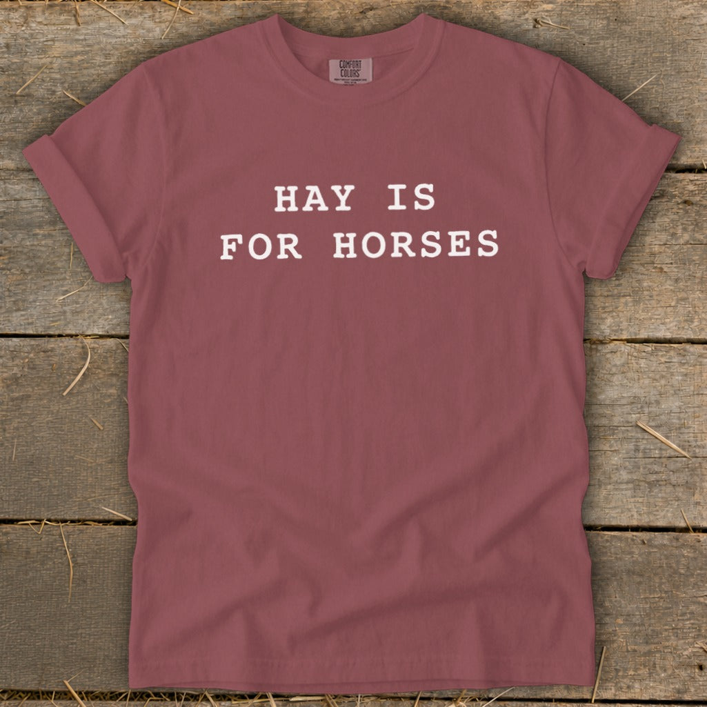 Maroon t-shirt with white text "HAY IS FOR HORSES".
