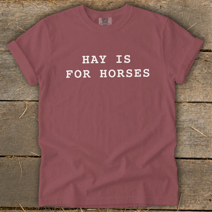 Maroon t-shirt with white text "HAY IS FOR HORSES".