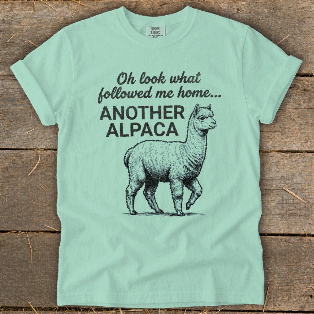 Light blue t-shirt with black text and alpaca illustration.