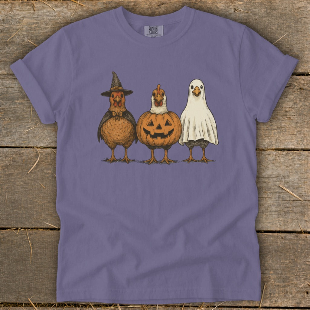 Three chickens dressed as a witch, a pumpkin, and a ghost stand side-by-side.