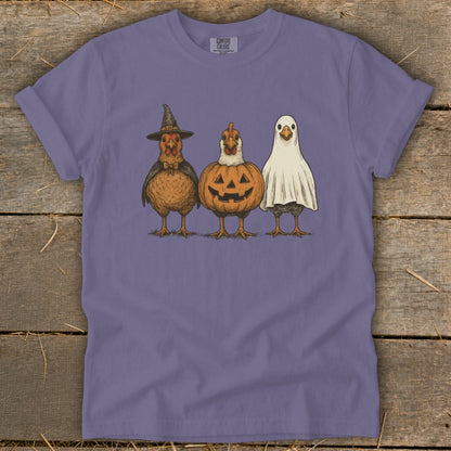 Three chickens dressed as a witch, a pumpkin, and a ghost stand side-by-side.