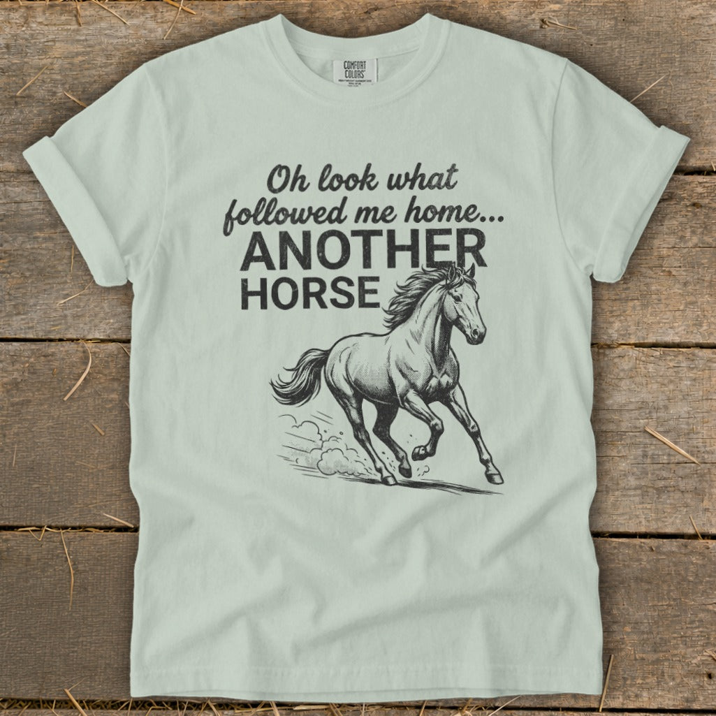 Light blue t-shirt with "Oh look what followed me home... ANOTHER HORSE" and a running horse graphic.