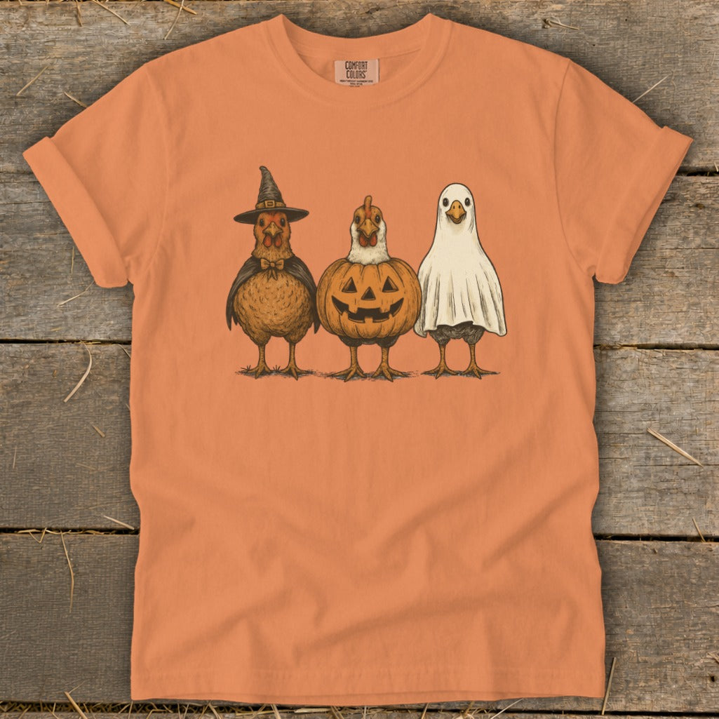 Three chickens dressed as a witch, pumpkin, and ghost.