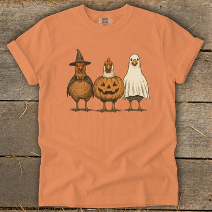 Three chickens dressed as a witch, pumpkin, and ghost.