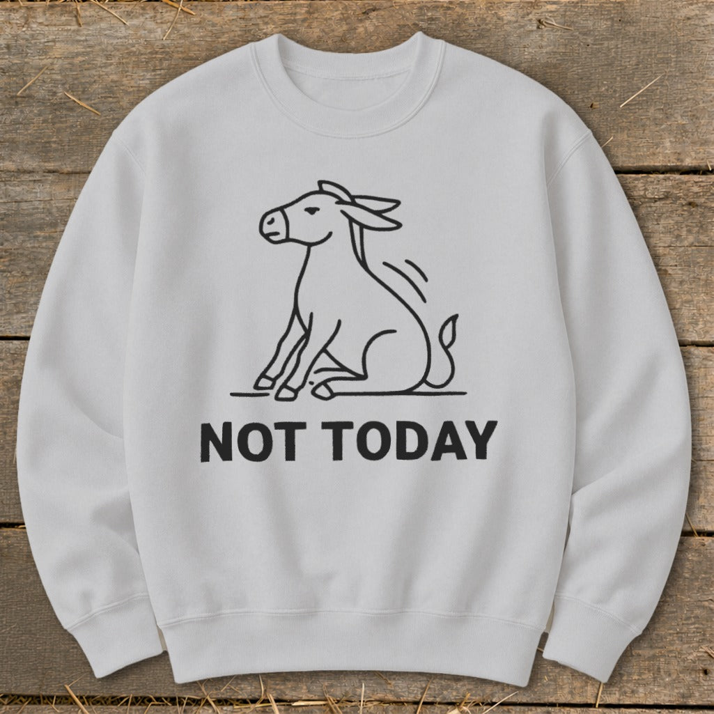 Light gray sweatshirt with a black line drawing of a donkey and the text "NOT TODAY".