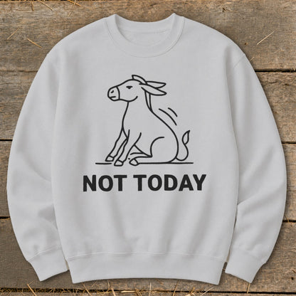 Light gray sweatshirt with a black line drawing of a donkey and the text "NOT TODAY".