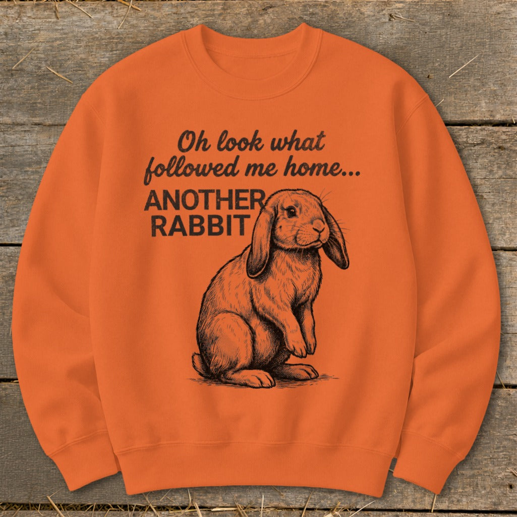 Orange sweatshirt with a drawing of a lop-eared rabbit and text saying "Oh look what followed me home... ANOTHER RABBIT".