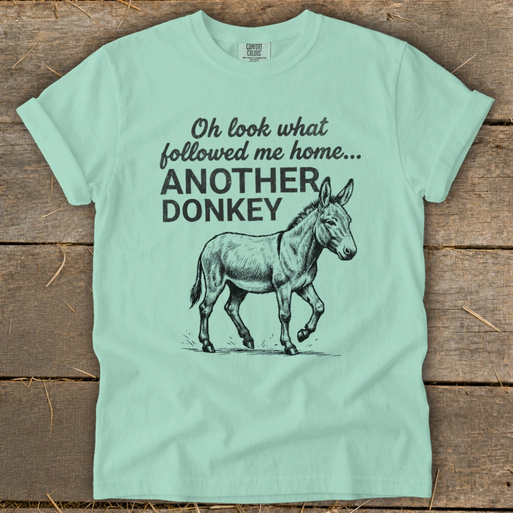 Light blue t-shirt with "Oh look what followed me home... ANOTHER DONKEY" and a donkey illustration.