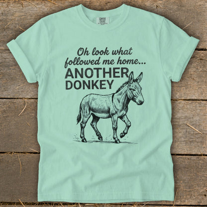 Light blue t-shirt with "Oh look what followed me home... ANOTHER DONKEY" and a donkey illustration.
