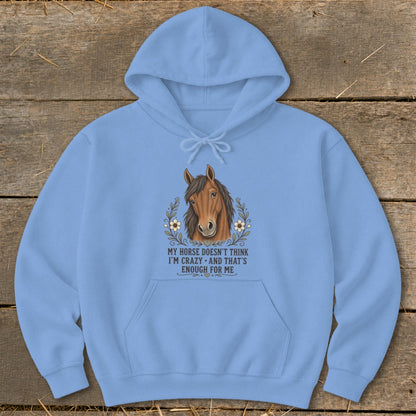 Light blue hoodie with a horse graphic and text: "MY HORSE DOESN'T THINK I'M CRAZY."
