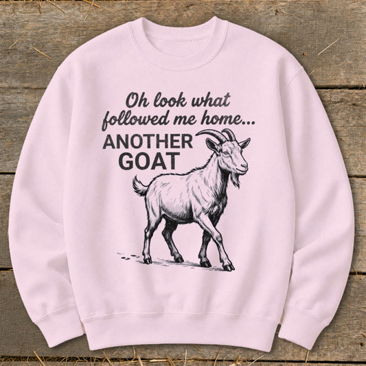 Pink sweatshirt with text "Oh look what followed me home... ANOTHER GOAT" and a goat illustration.