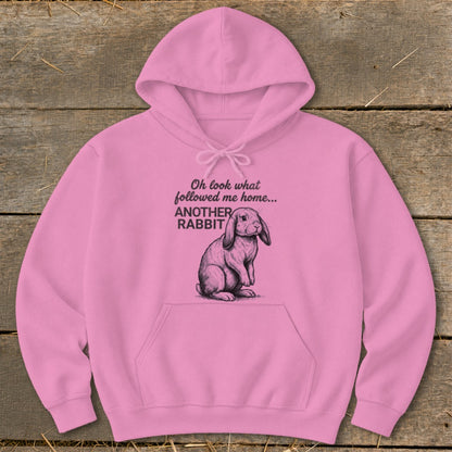 Pink hoodie with a sketch of a rabbit and text "Oh look what followed me home... ANOTHER RABBIT."
