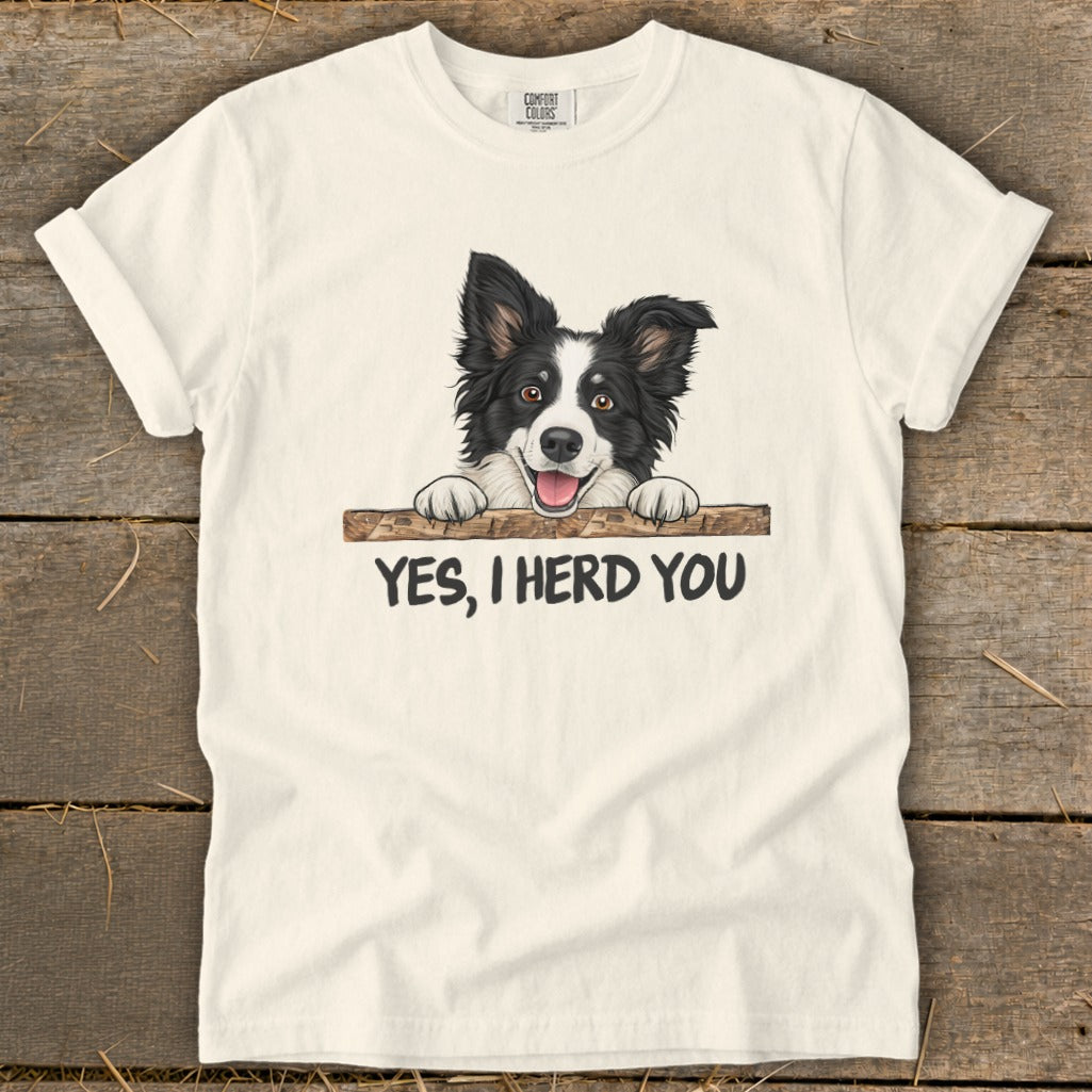 White t-shirt with illustration of a Border Collie and text "YES, I HERD YOU".