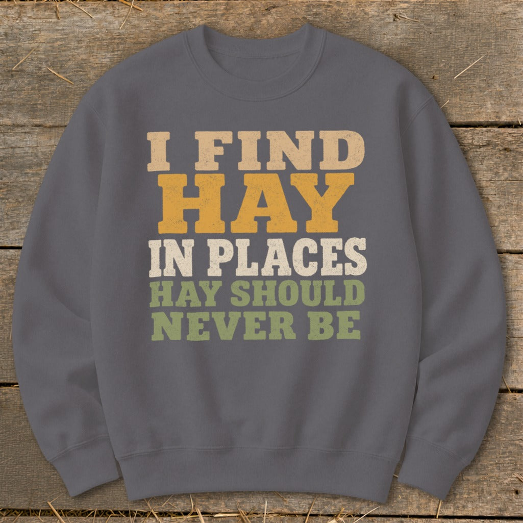 Grey sweatshirt with text "I FIND HAY IN PLACES HAY SHOULD NEVER BE".