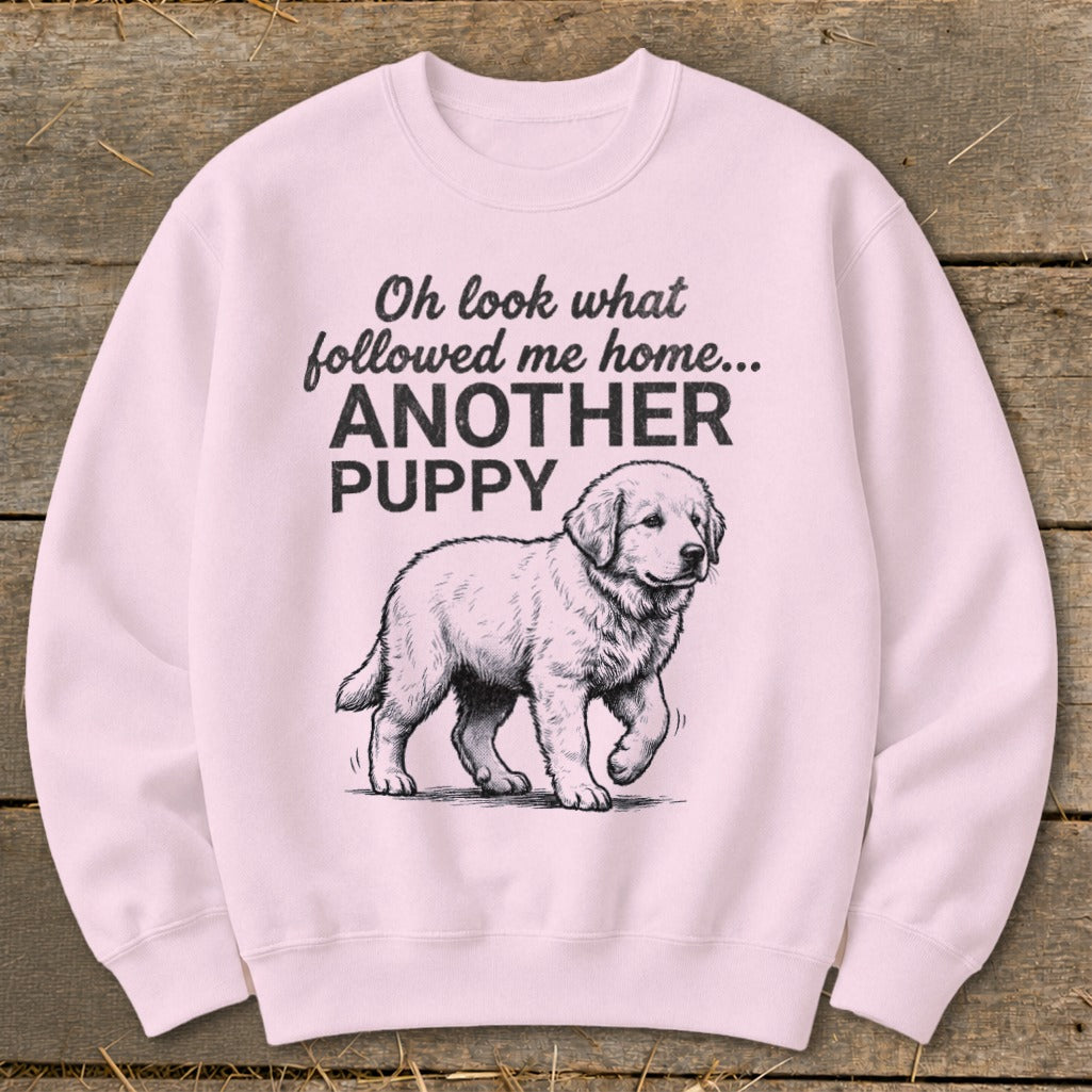 Pink sweatshirt with text "Oh look what followed me home... ANOTHER PUPPY" and drawing of a puppy.