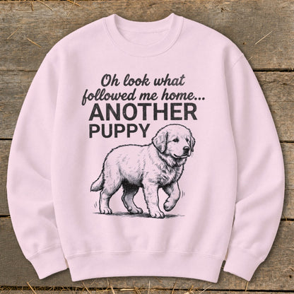 Pink sweatshirt with text "Oh look what followed me home... ANOTHER PUPPY" and drawing of a puppy.