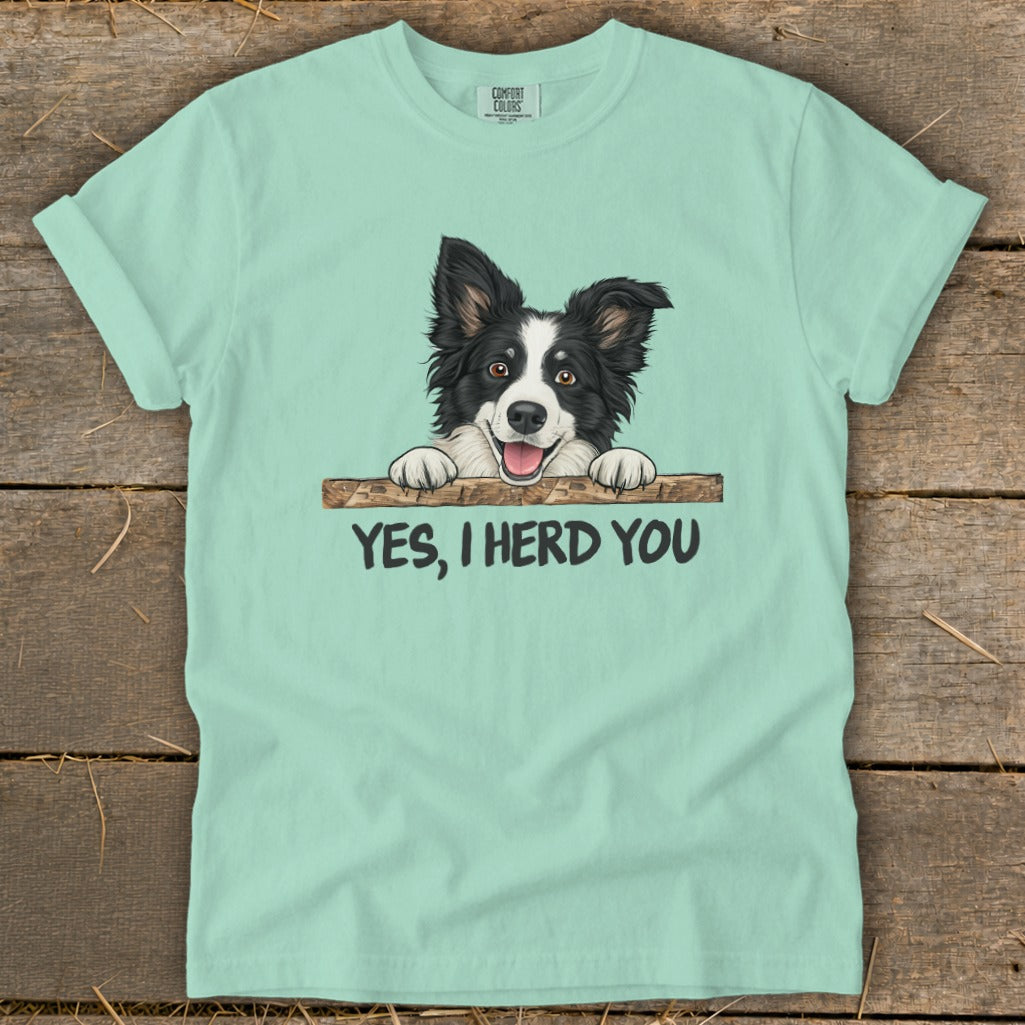 T-shirt with Border Collie peeking over a log, text reads "YES, I HERD YOU."