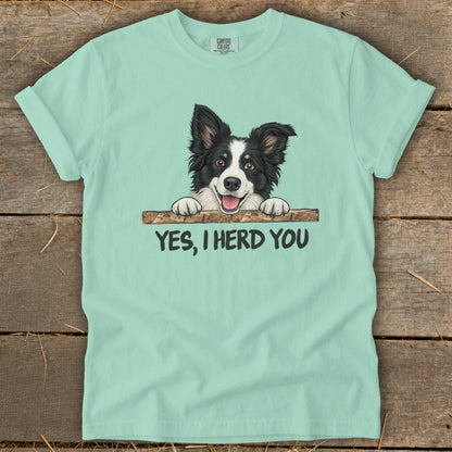 T-shirt with Border Collie peeking over a log, text reads "YES, I HERD YOU."