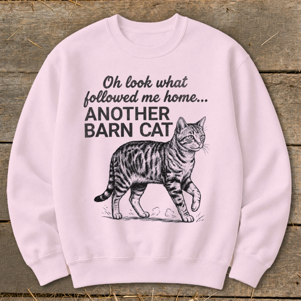 Pink sweatshirt with "Oh look what followed me home... ANOTHER BARN CAT" text and cat illustration.