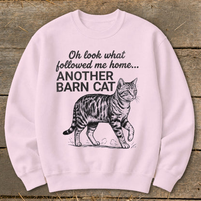 Pink sweatshirt with "Oh look what followed me home... ANOTHER BARN CAT" text and cat illustration.