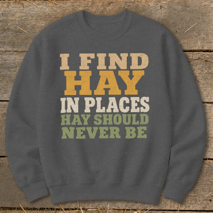 Gray sweatshirt with text: "I FIND HAY IN PLACES HAY SHOULD NEVER BE".