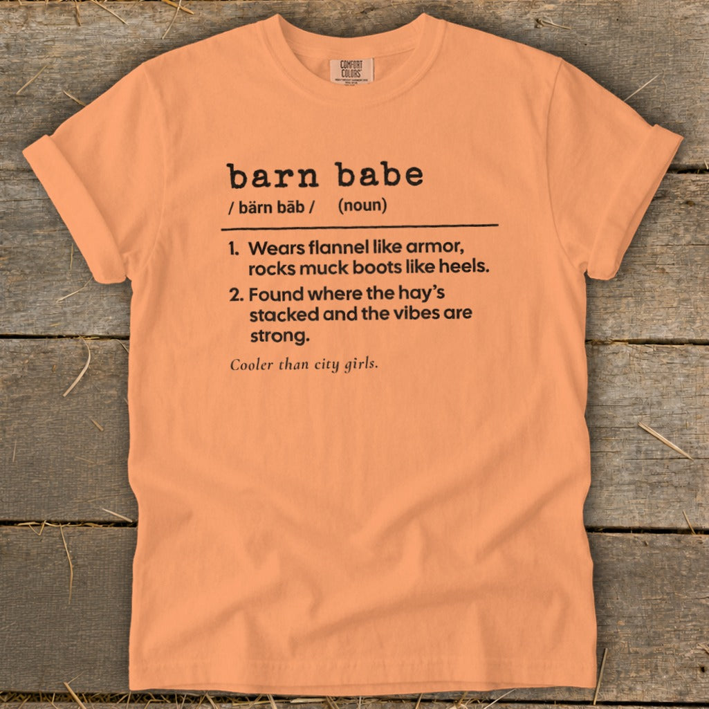 Peach Comfort Colors t-shirt with "barn babe" definition.