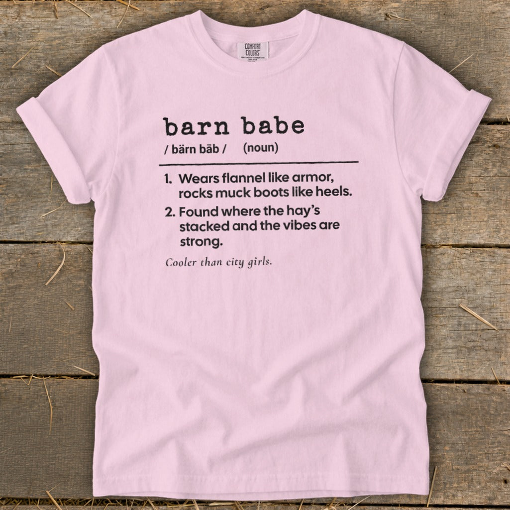 Pink t-shirt with "barn babe" definition text and Comfort Colors tag.