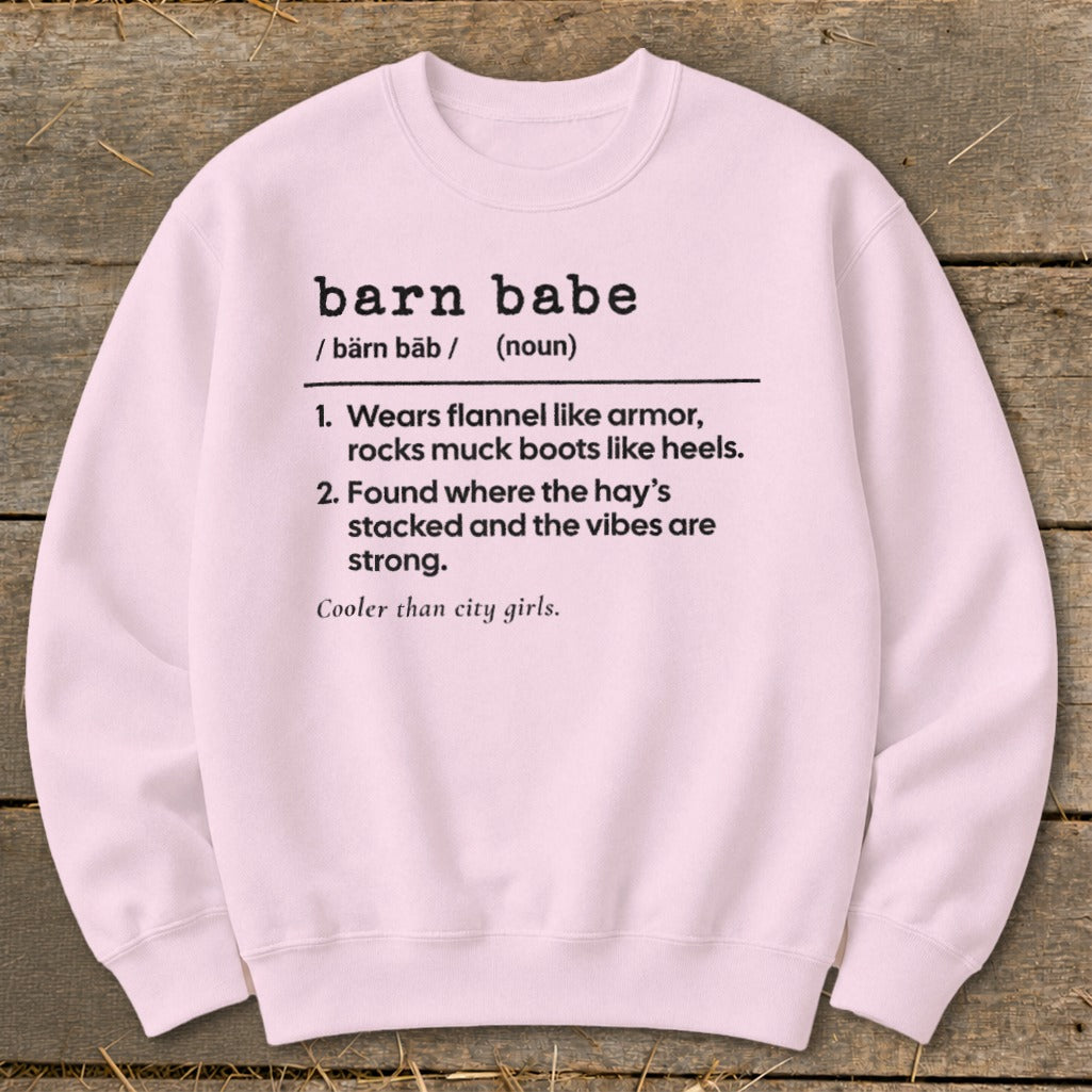 Pink sweatshirt with "barn babe" definition and humorous country descriptions.