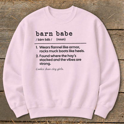 Pink sweatshirt with "barn babe" definition and humorous country descriptions.