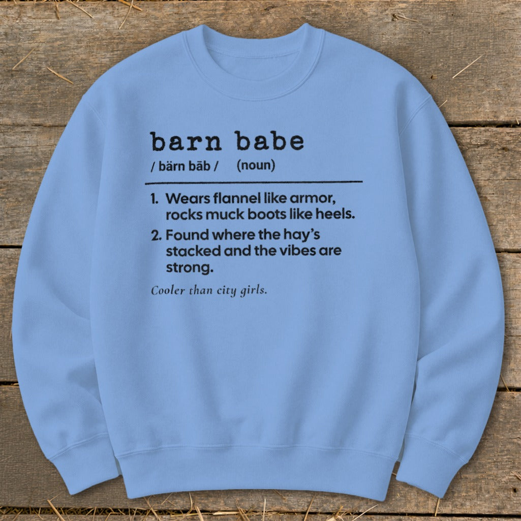 Light blue sweatshirt with black text defining "barn babe".