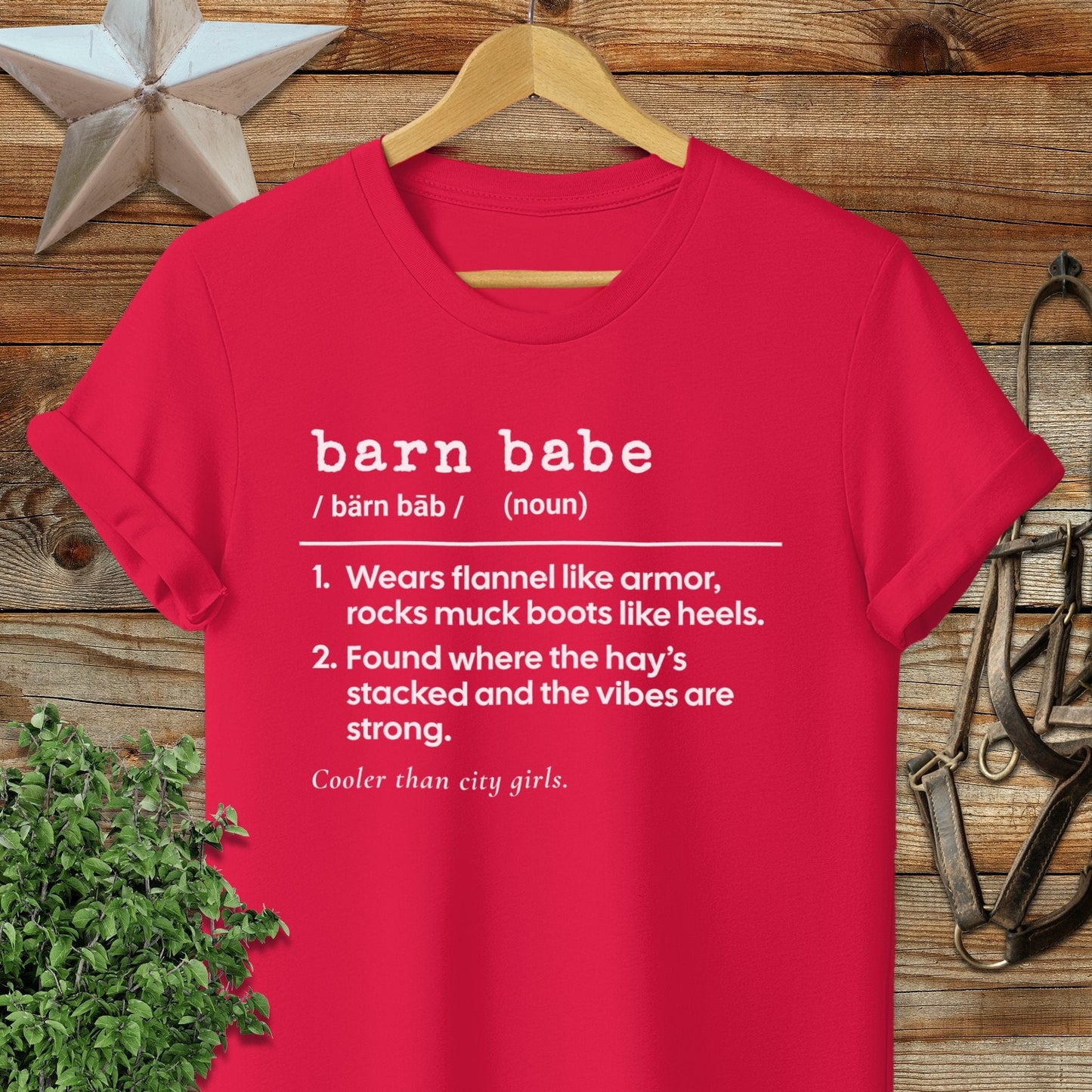 Barn Babe Definition T-shirt