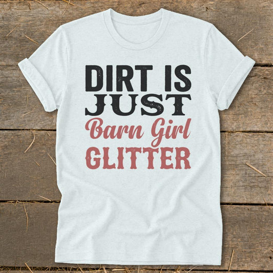 Barn Girl Glitter Softstyle Tee - Heather Ice Blue
