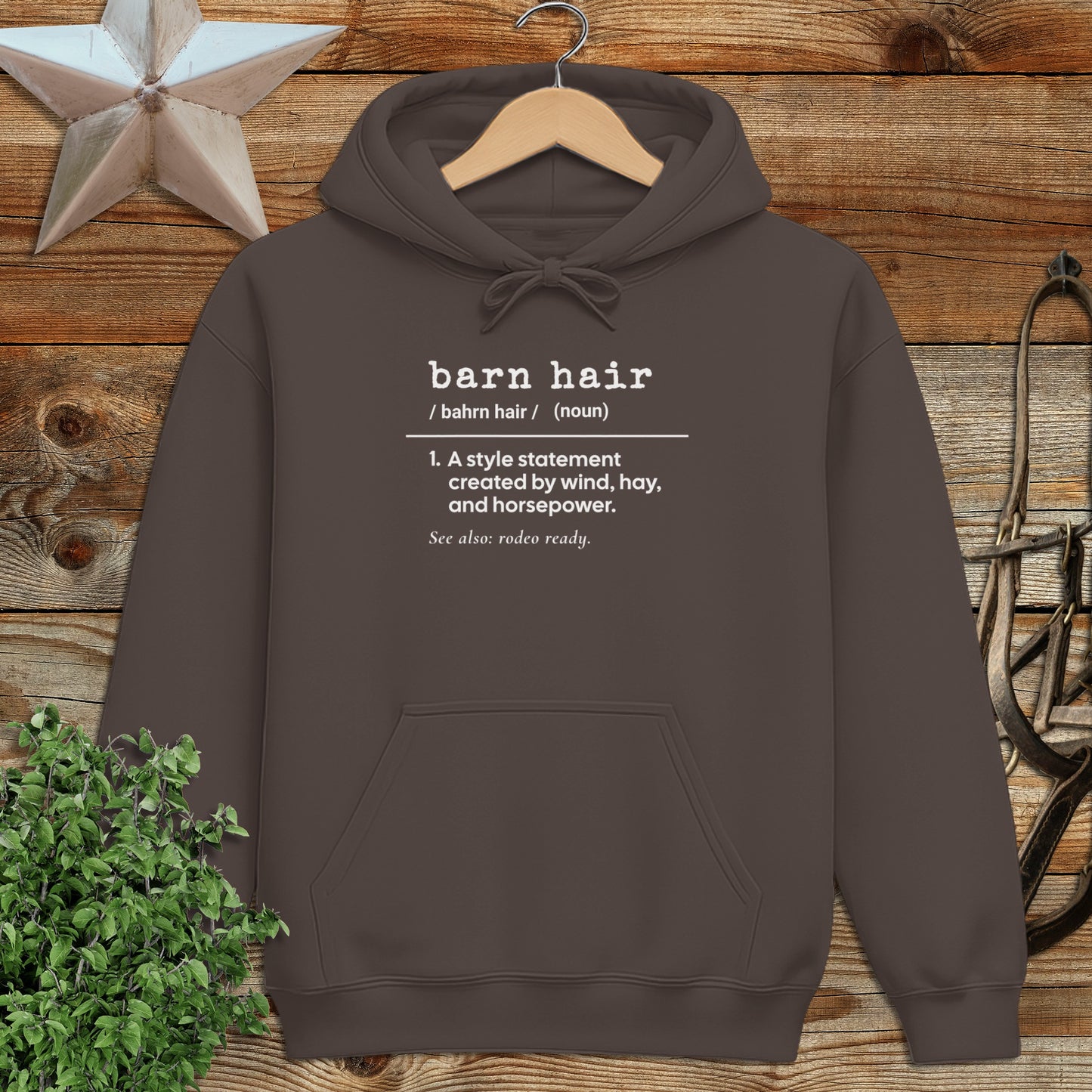 Barn Hair Definition Hoodie
