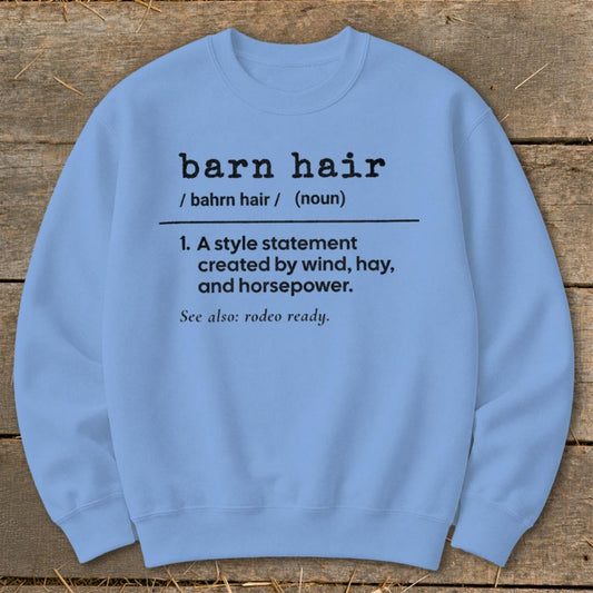 Barn Hair Definition Sweatshirt - Carolina Blue