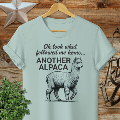 Followed Me Home Alpaca Softstyle Tee