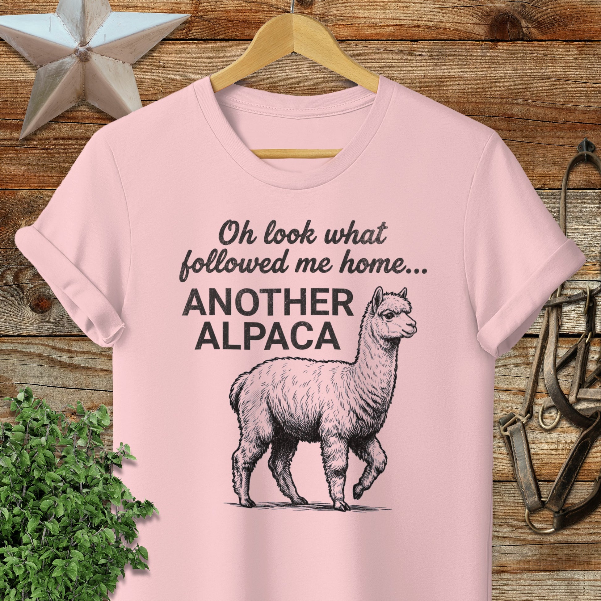 Followed Me Home Alpaca Softstyle Tee