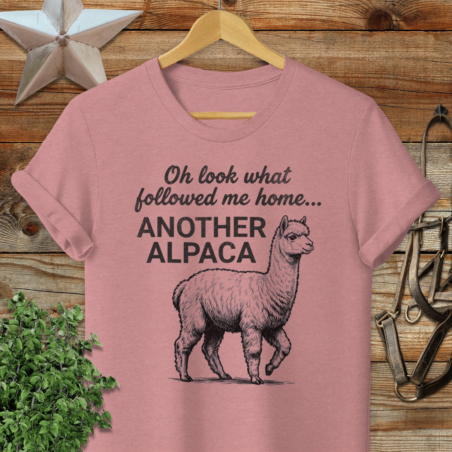 Followed Me Home Alpaca Softstyle Tee