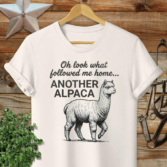Followed Me Home Alpaca Softstyle Tee