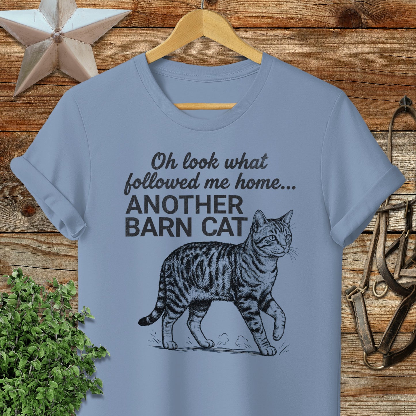 Followed Me Home Cat Softstyle Tee