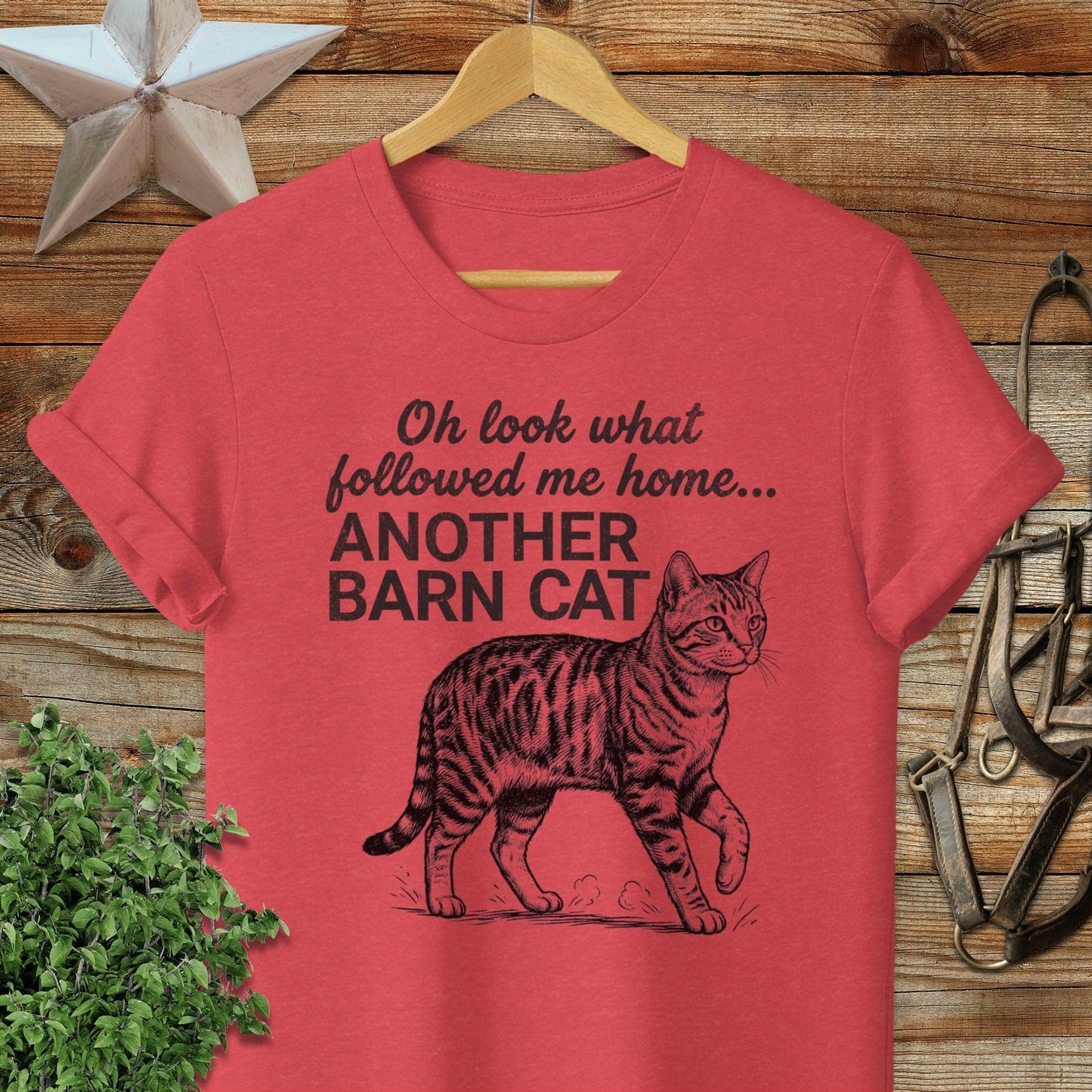 Followed Me Home Cat Softstyle Tee