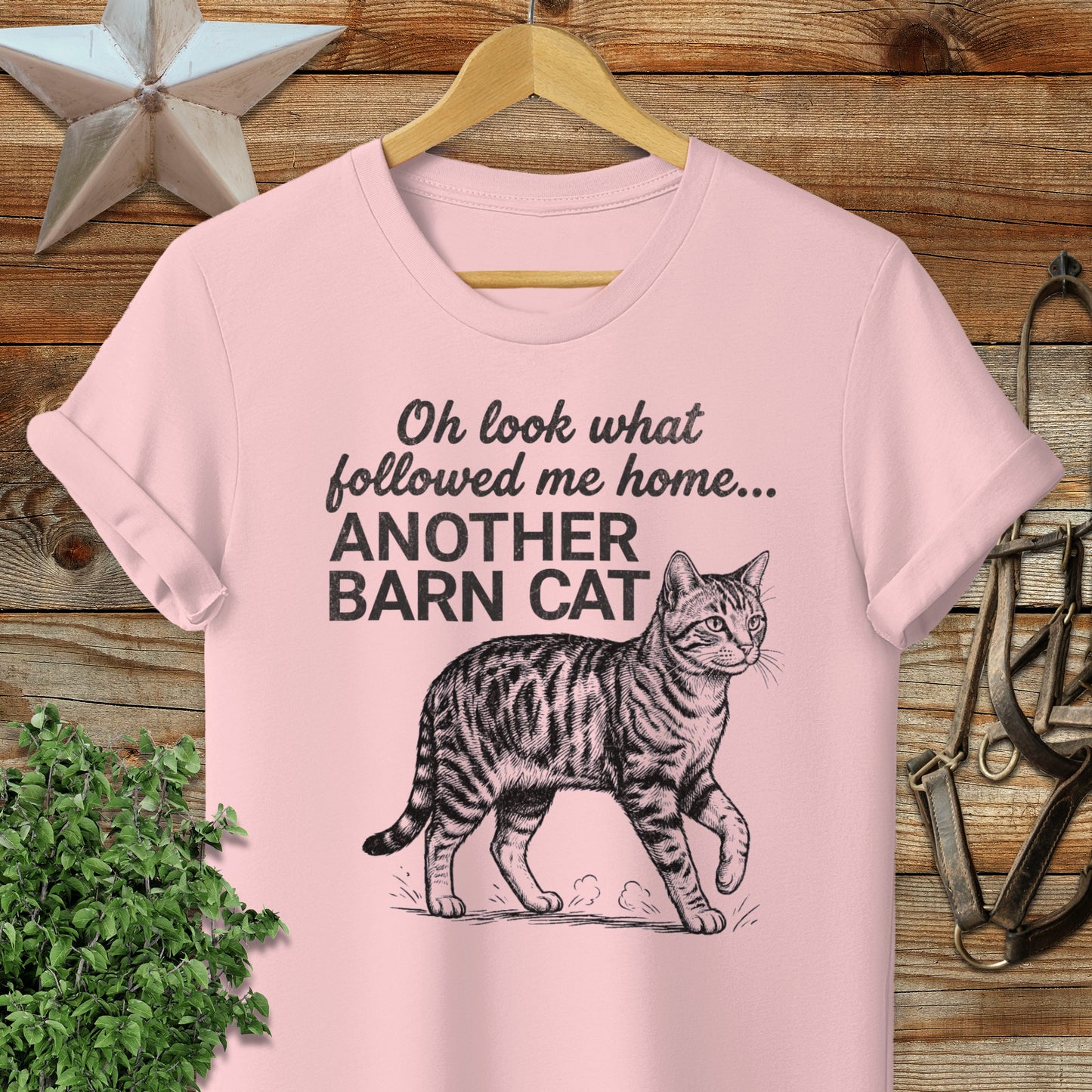 Followed Me Home Cat Softstyle Tee