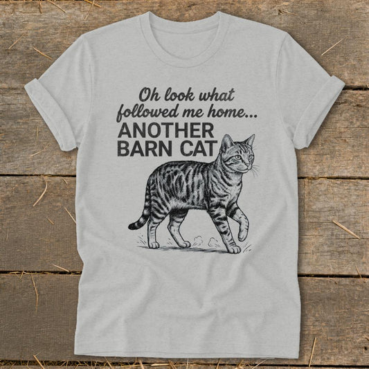 Followed Me Home Cat Softstyle Tee - Athletic Heather