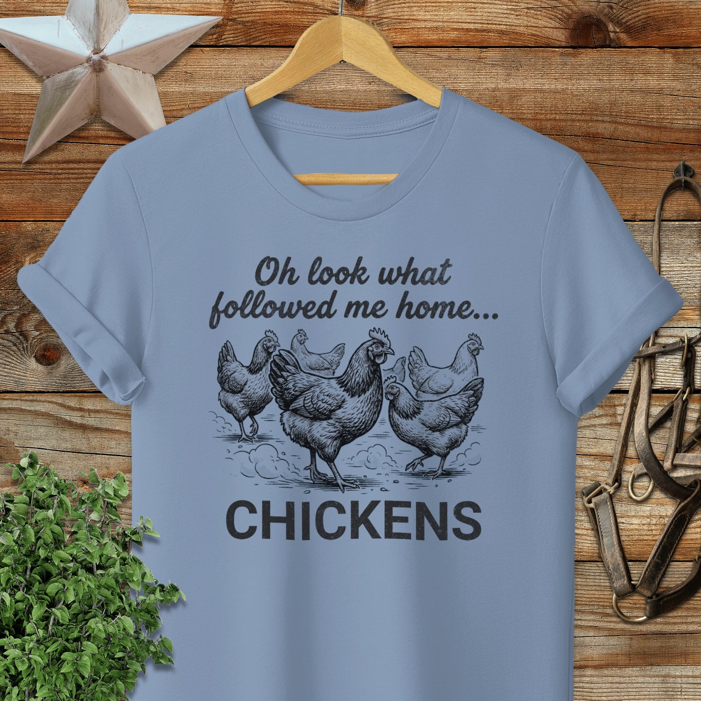 Followed Me Home Chickens Softstyle Tee