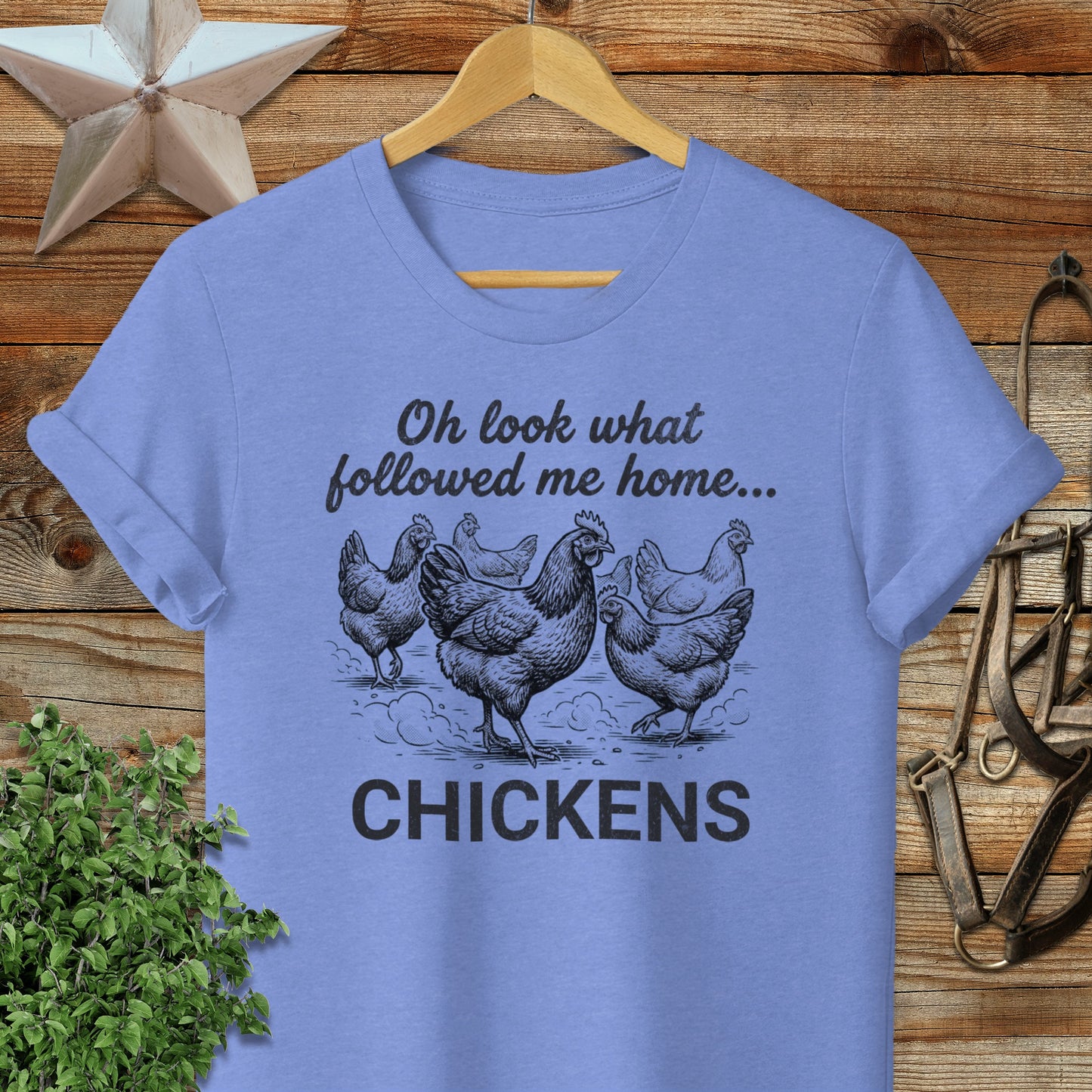 Followed Me Home Chickens Softstyle Tee