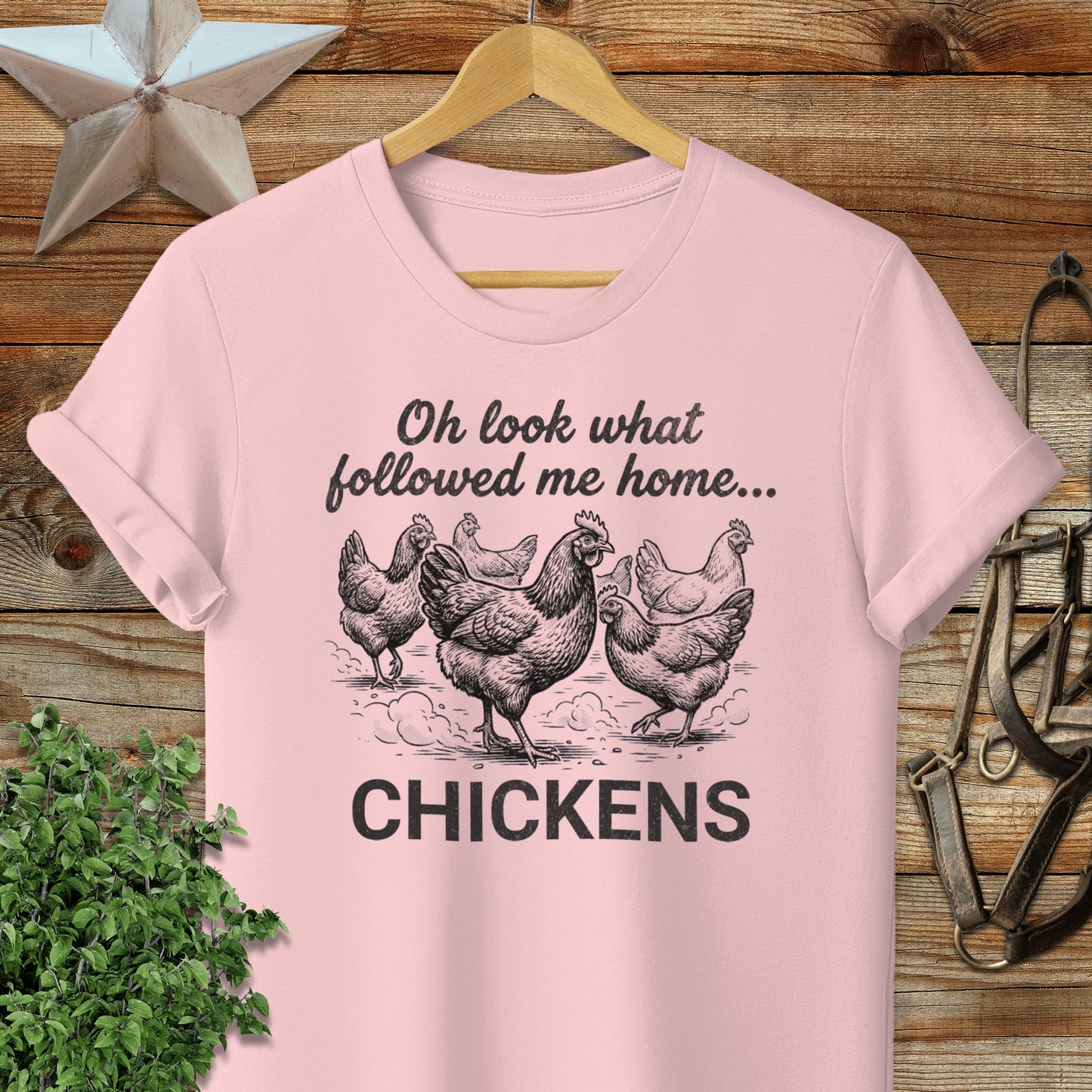Followed Me Home Chickens Softstyle Tee