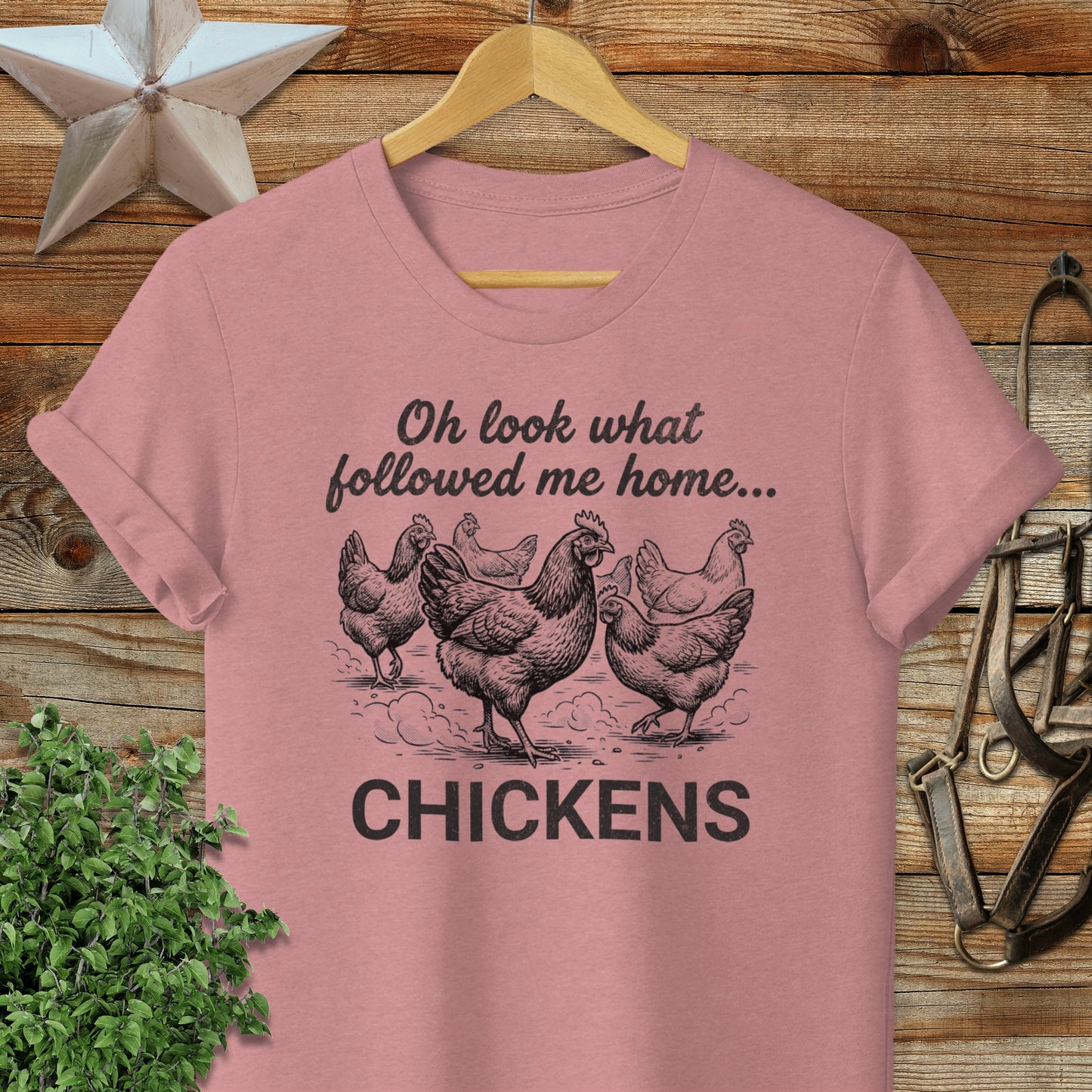 Followed Me Home Chickens Softstyle Tee