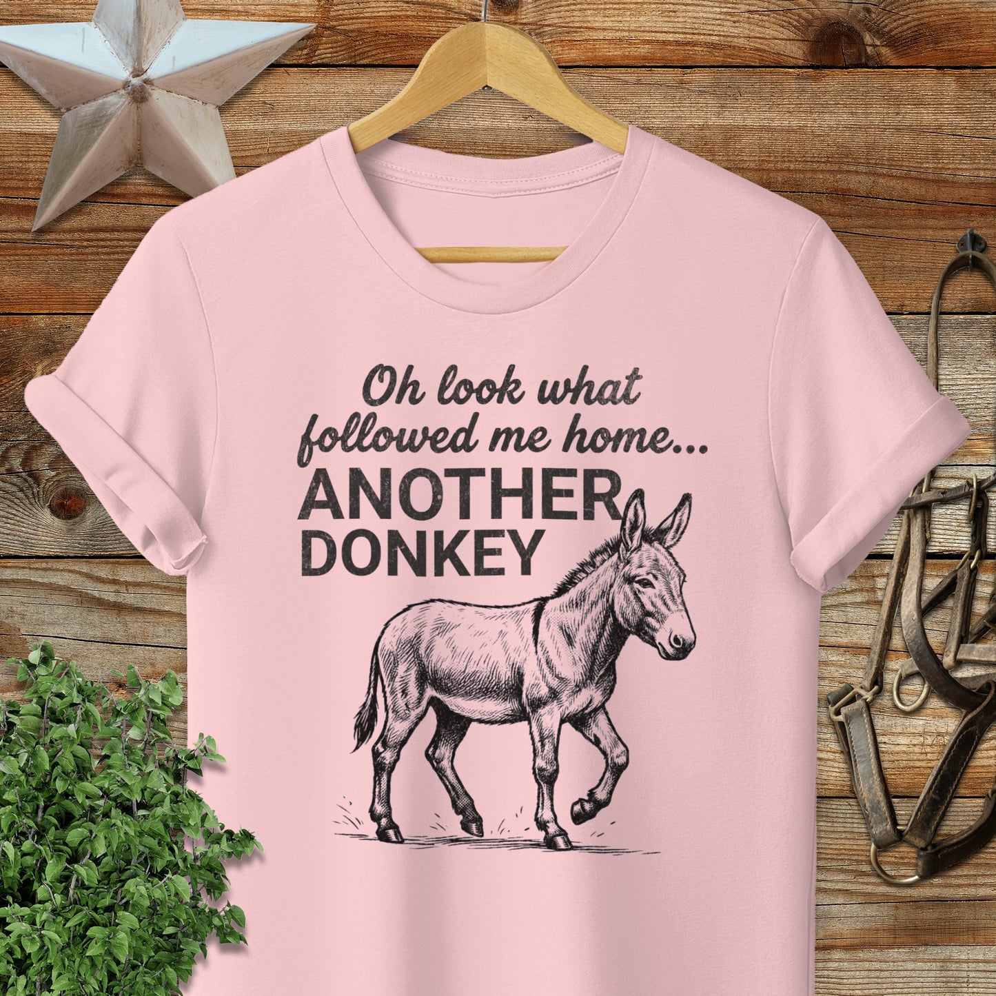 Followed Me Home Donkey Softstyle Tee