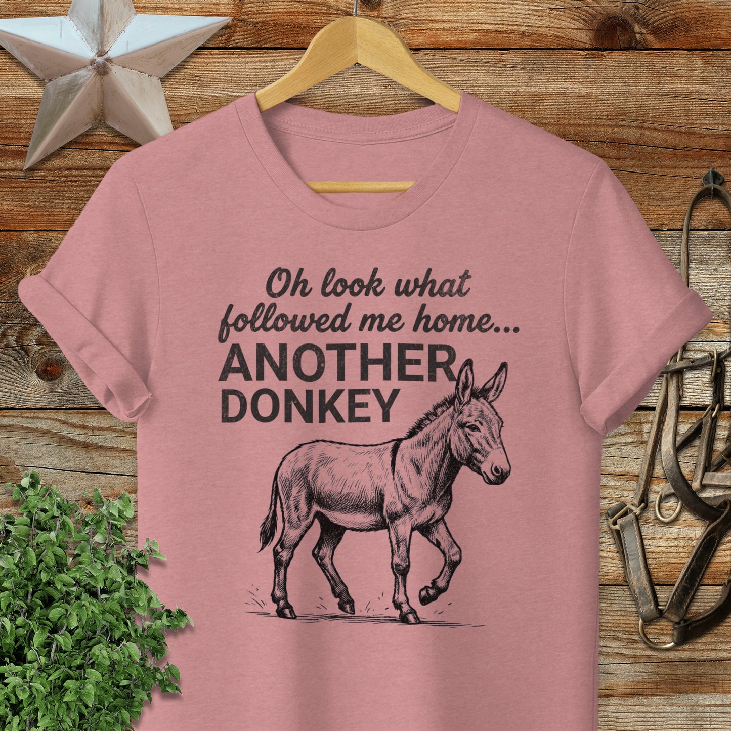 Followed Me Home Donkey Softstyle Tee