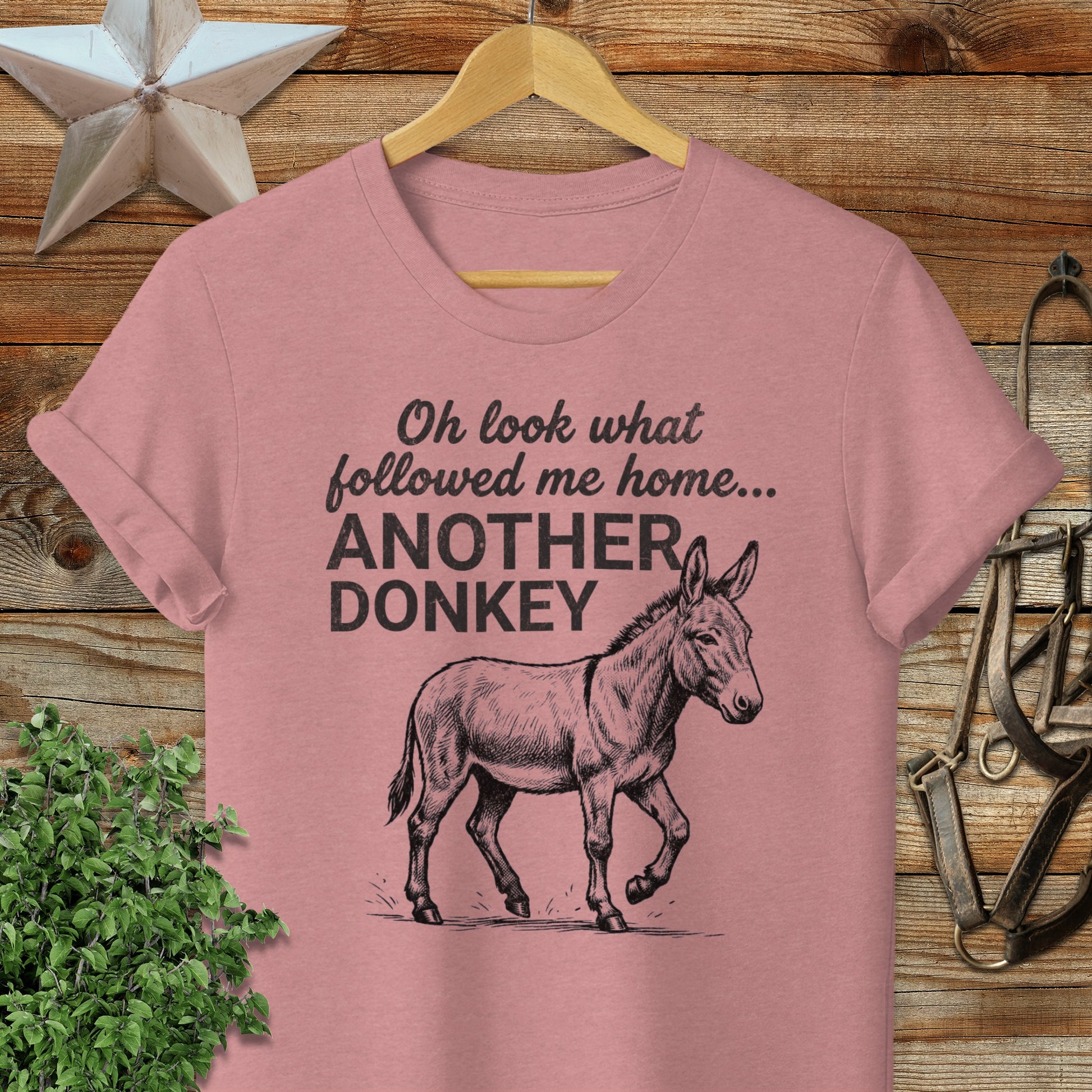 Followed Me Home Donkey Softstyle Tee