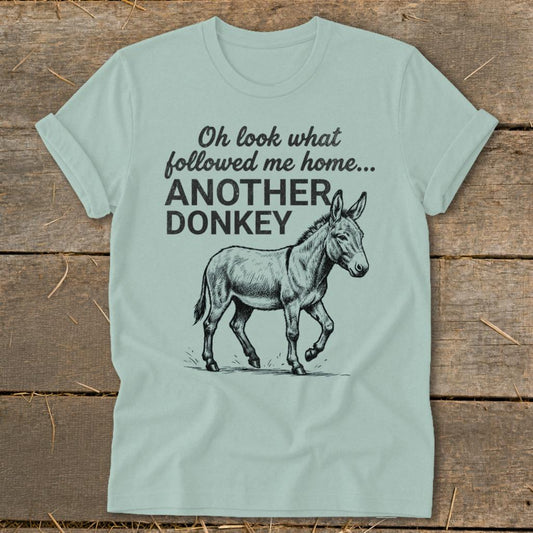 Followed Me Home Donkey Softstyle Tee - Dusty Blue